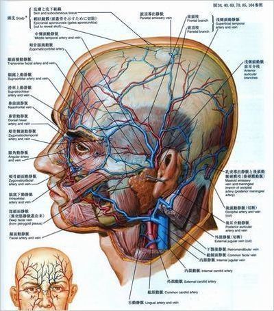 CIMG5578 (2)as.jpg