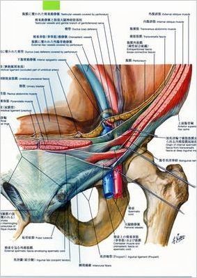 ソケイ部ー７581.jpg