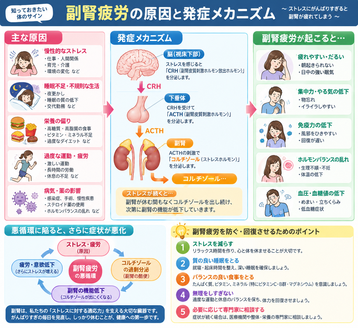 CIMG6928 (2)b2.jpg