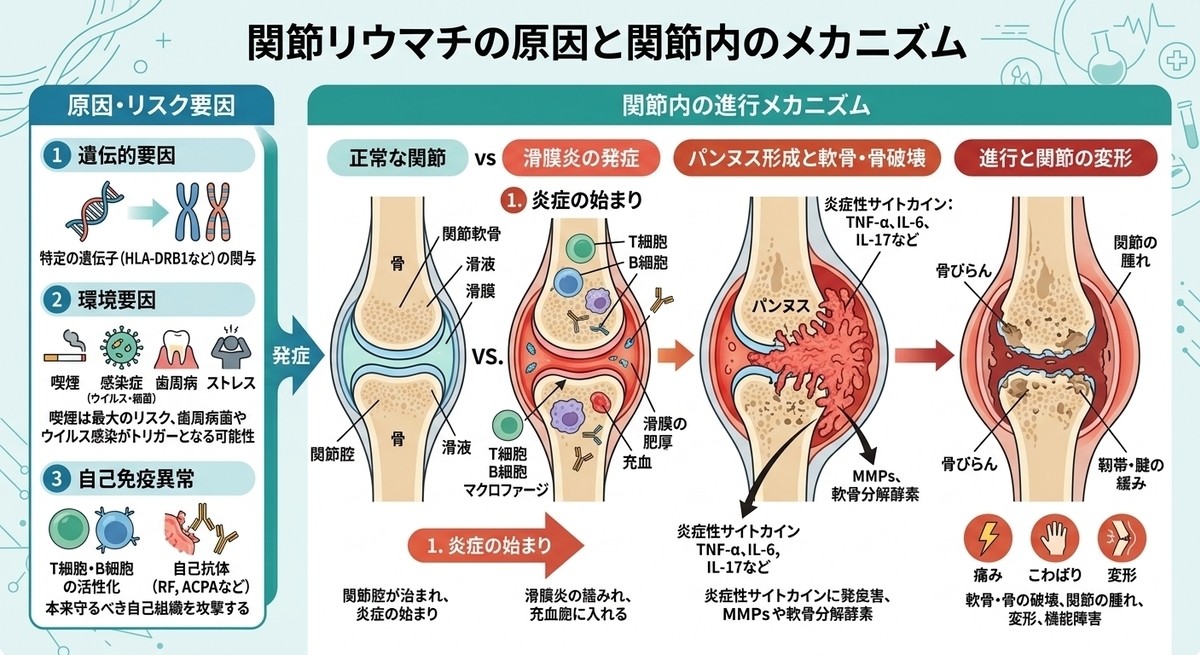 CIMG6928 (2)b2.jpg