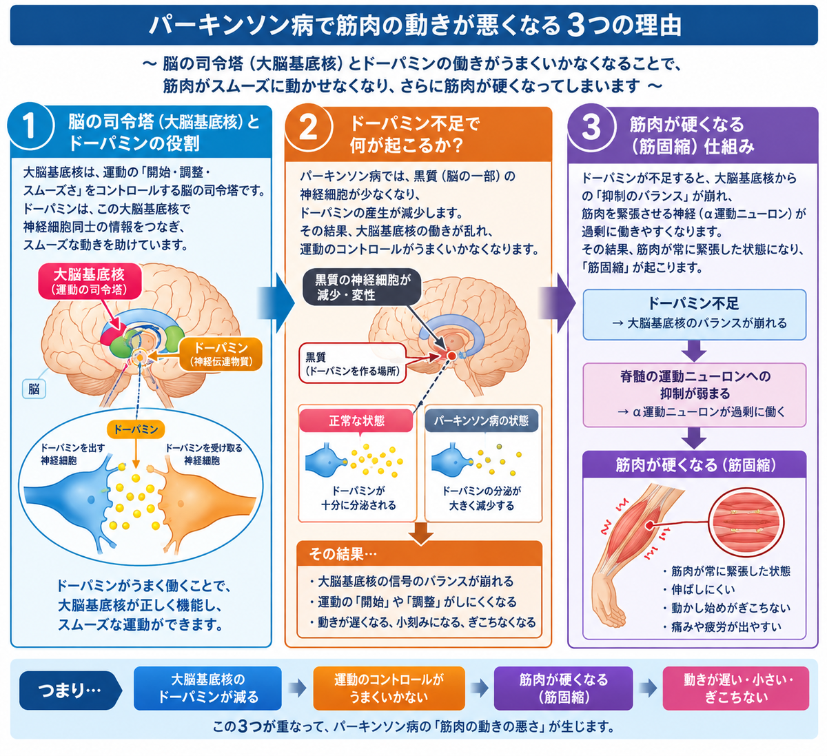 CIMG6928 (2)b2.jpg