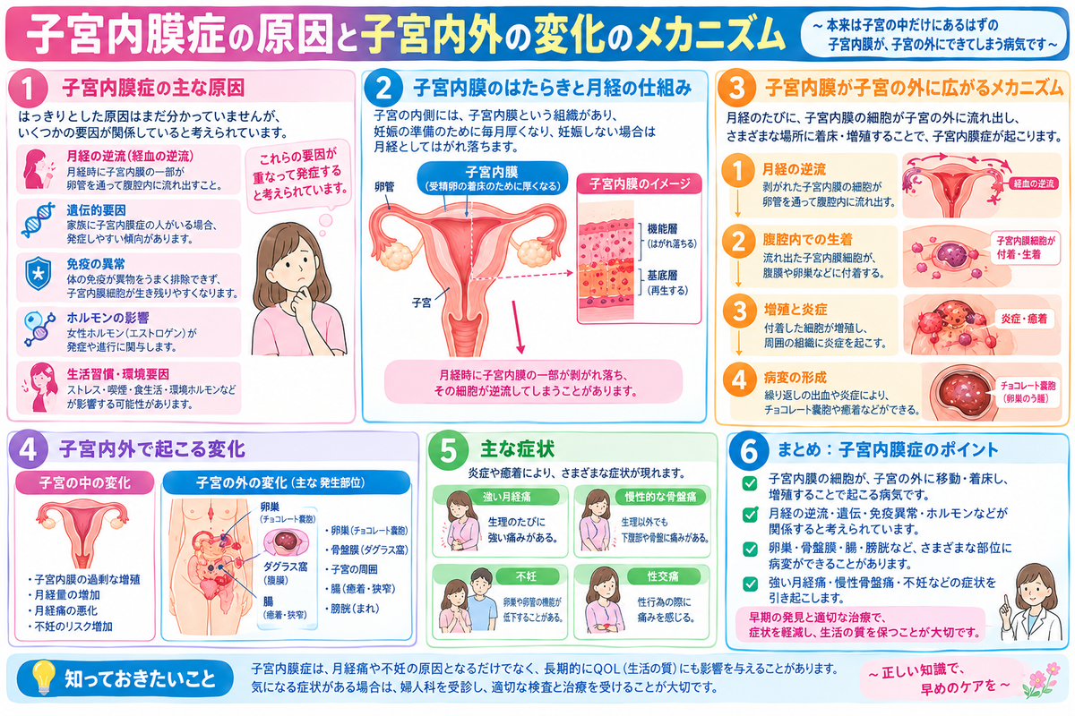 CIMG6928 (2)b2.jpg