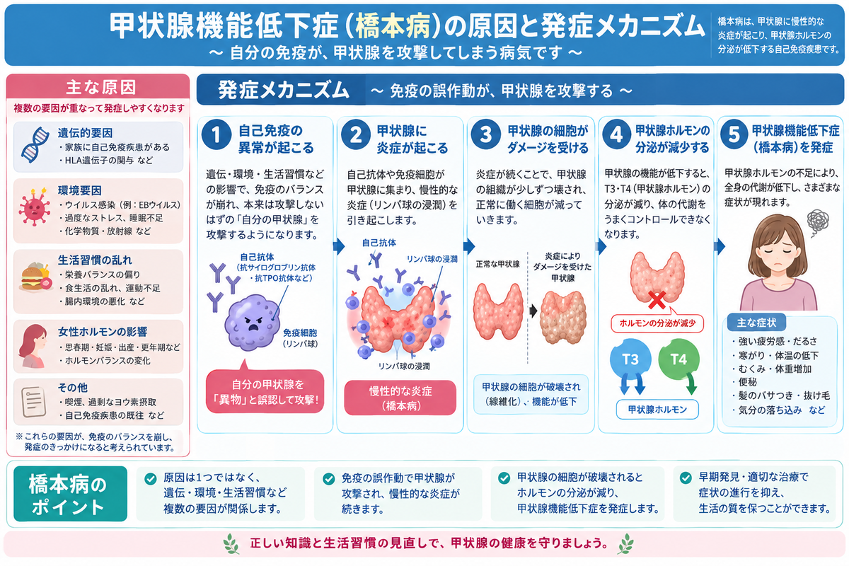 CIMG6928 (2)b2.jpg