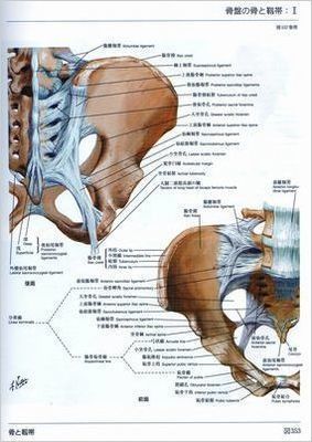 CIMG5578 (2)as.jpg