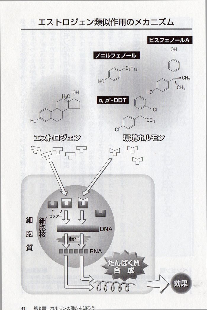 CIMG4157shu.jpg