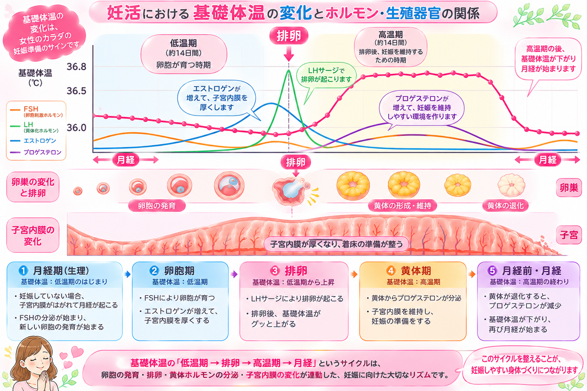 CIMG6928 (2)b2.jpg