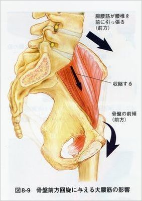 骨盤の角度ーマッサージ521縮小ー１.jpg