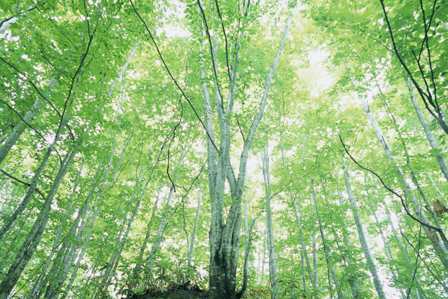 CIMG0100shu.jpg