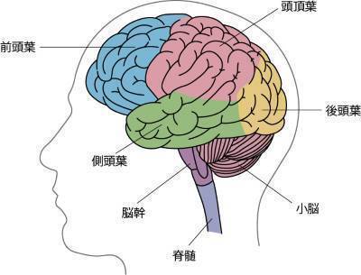 CIMG5578 (2)as.jpg
