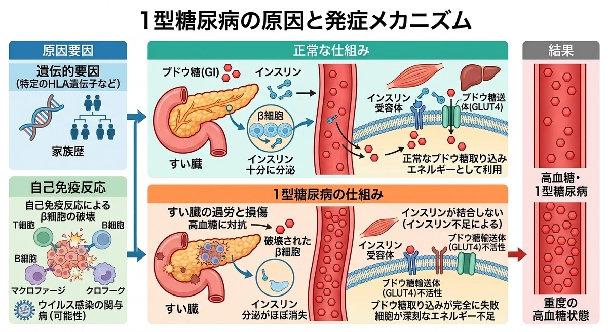 CIMG6928 (2)b2.jpg