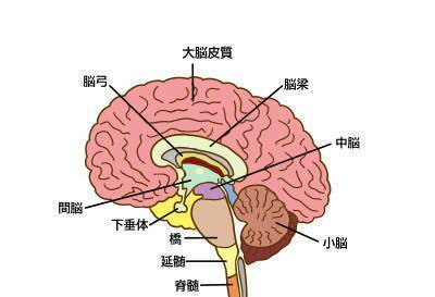 CIMG5578 (2)as.jpg