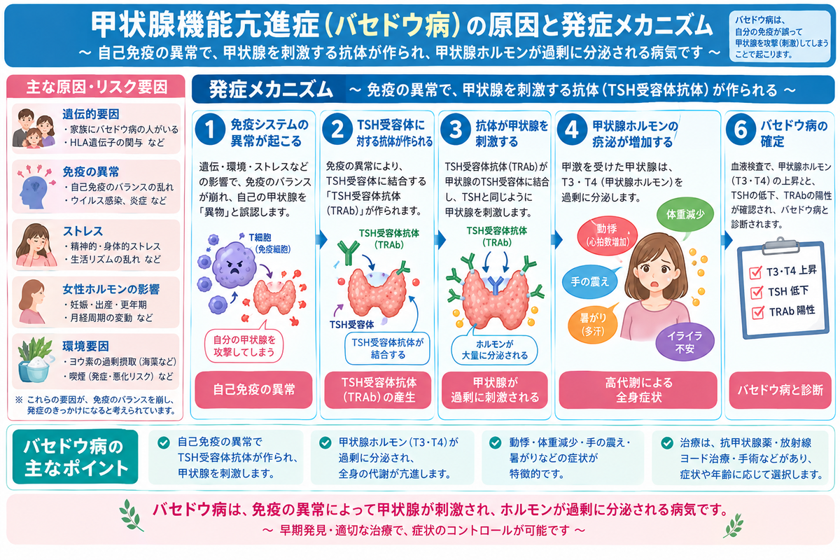CIMG6928 (2)b2.jpg