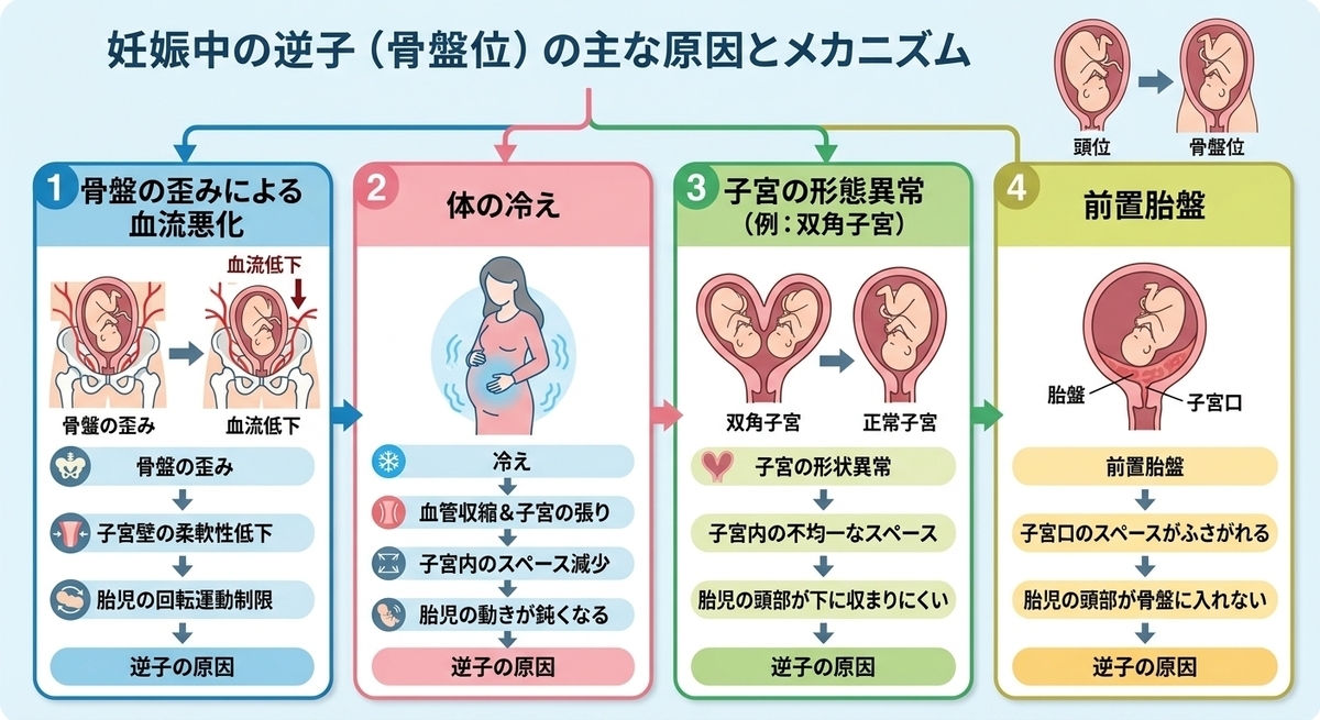 CIMG6928 (2)b2.jpg