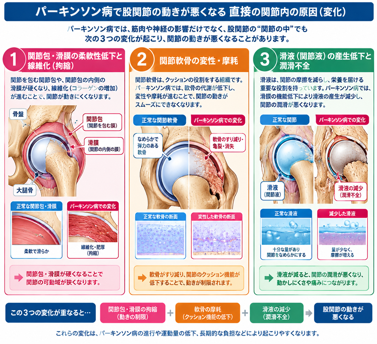 CIMG6928 (2)b2.jpg