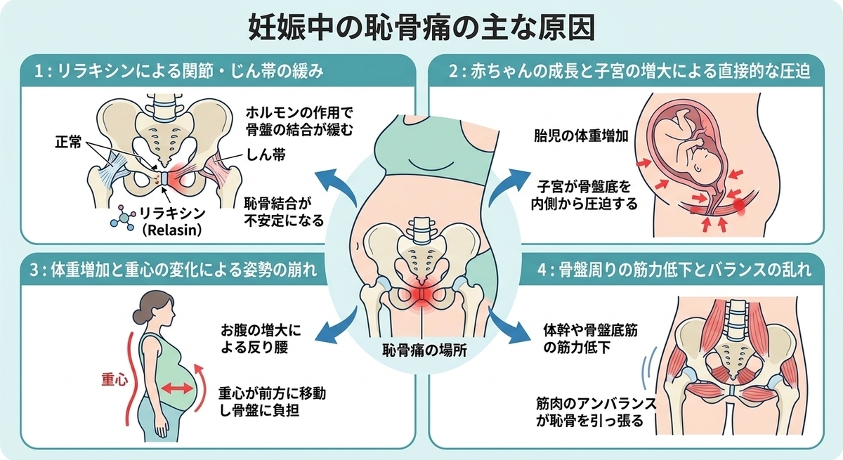 CIMG6928 (2)b2.jpg