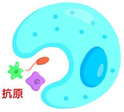 CIMG0100shu.jpg