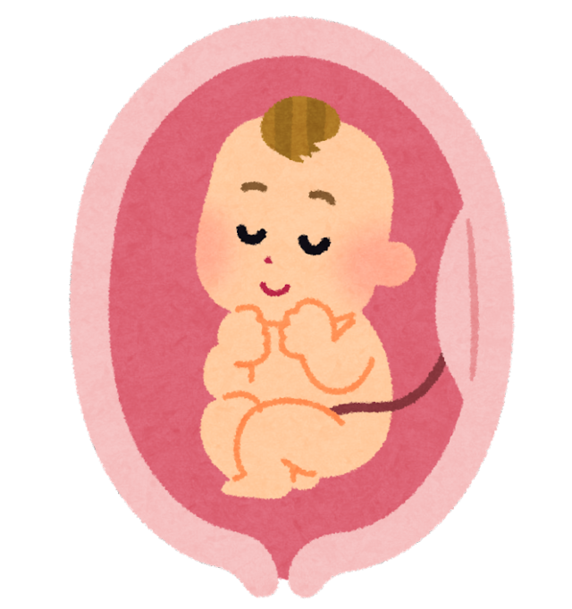 CIMG1468 (2)shu11.jpg