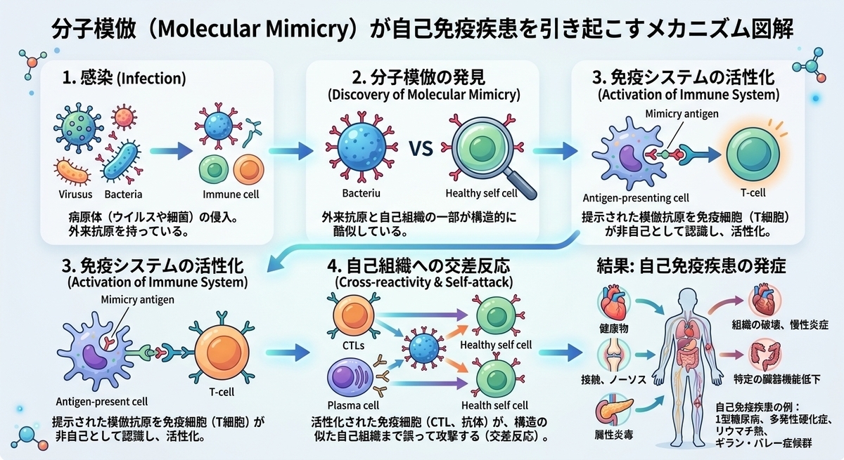 CIMG6928 (2)b2.jpg