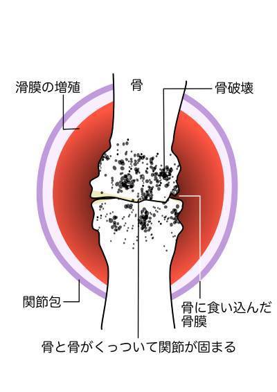 CIMG5578 (2)as.jpg