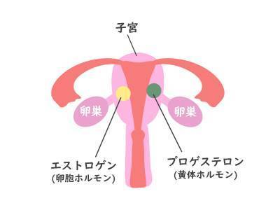 CIMG5578 (2)as.jpg
