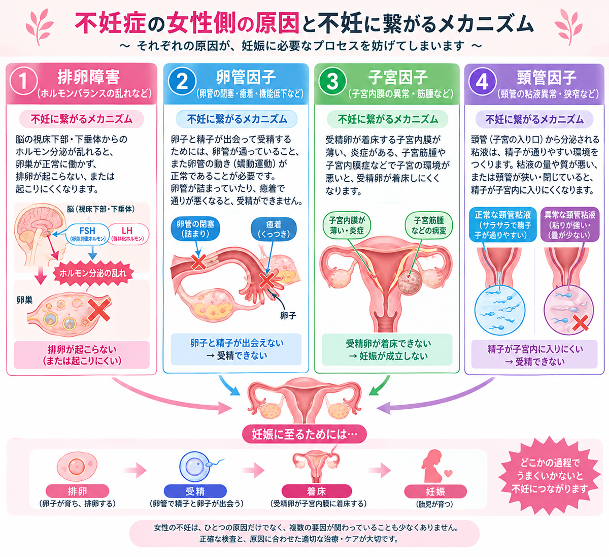 CIMG6928 (2)b2.jpg