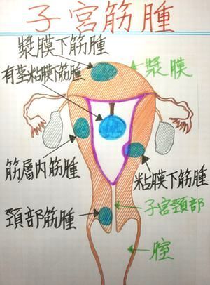 CIMG0023s10.jpg